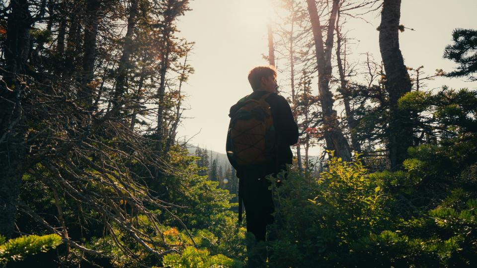 Bufdi bei TERRA.vita