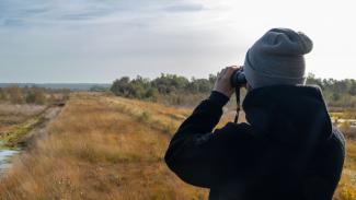 Aussendienst Nordkreis_052 Hahnenmoor_Aussichtsturm